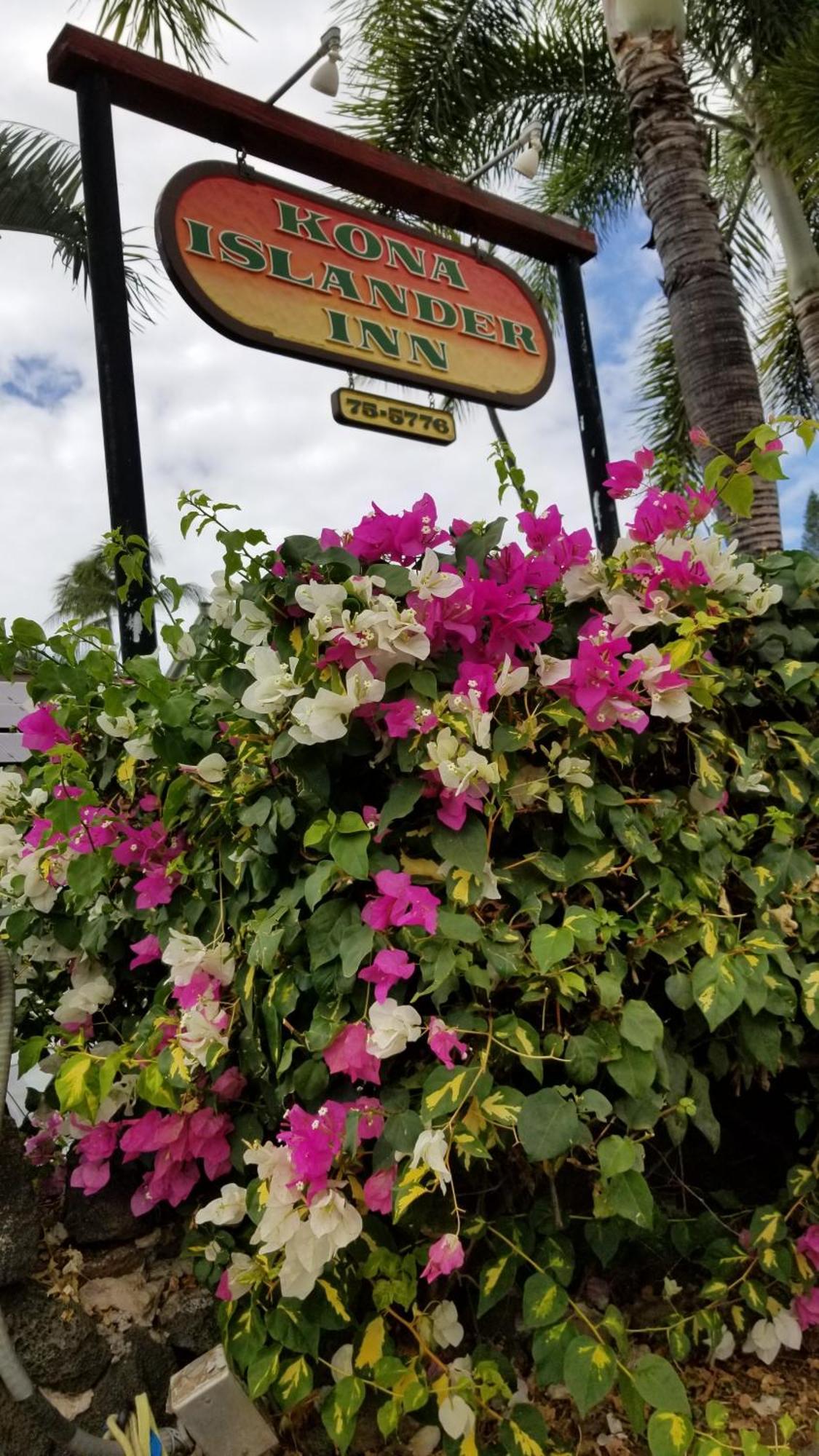 Downtown Hawaiian Theme Condo With Hot Tub, Pool & Beach - Kona Islander Inn Kailua-Kona Buitenkant foto